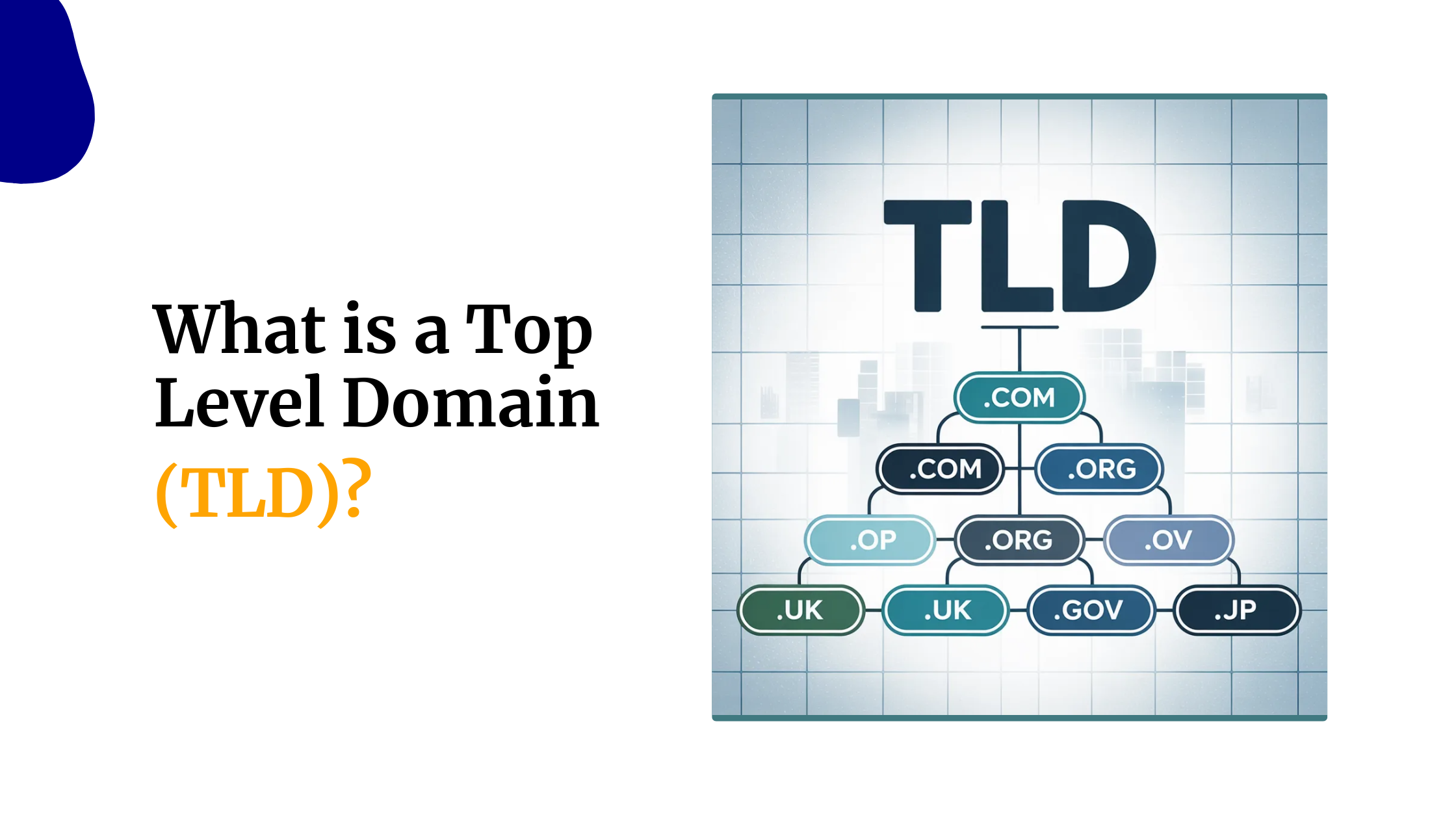 What is a Top Level Domain (TLD)?