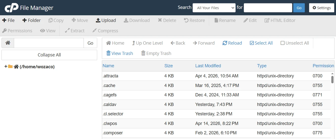 What is cPanel used for