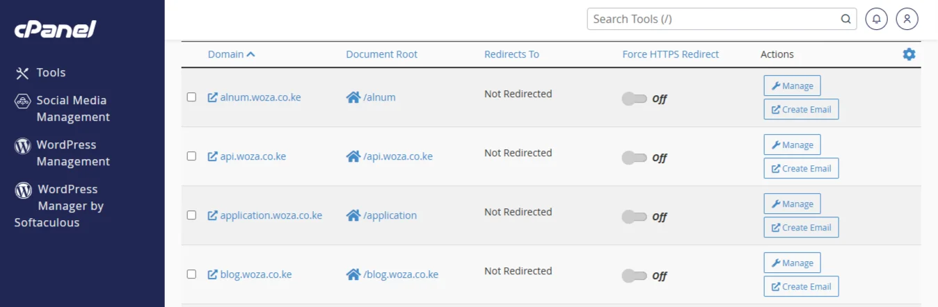access subdomain in cpanel