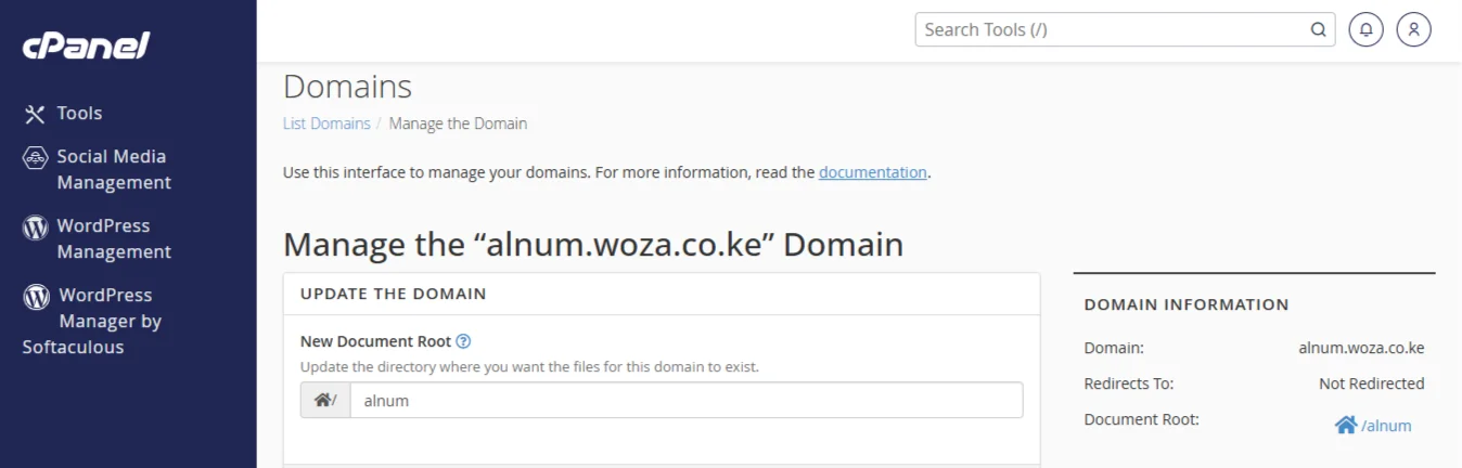 access subdomain in cpanel - subdomain files