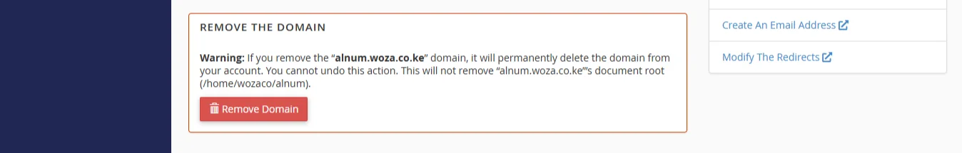 access subdomain in cpanel