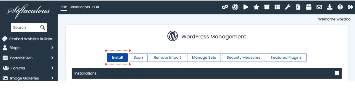 cPanel → Softaculous → WordPress → Install.