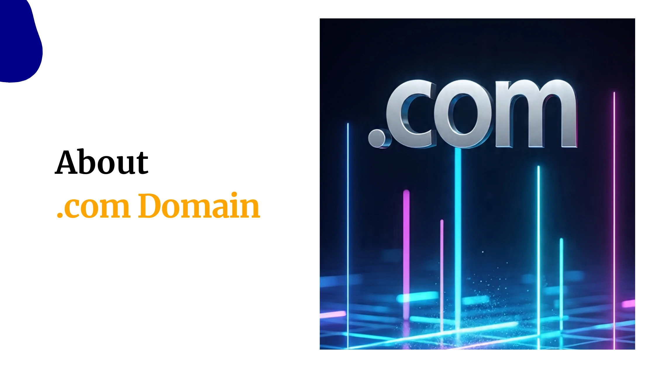 About .com Domain