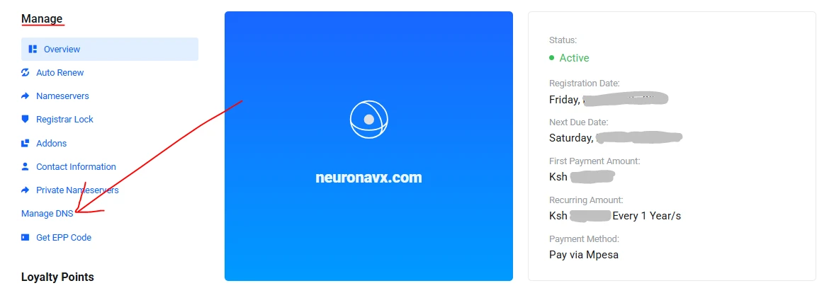 manage subdomain DNS 