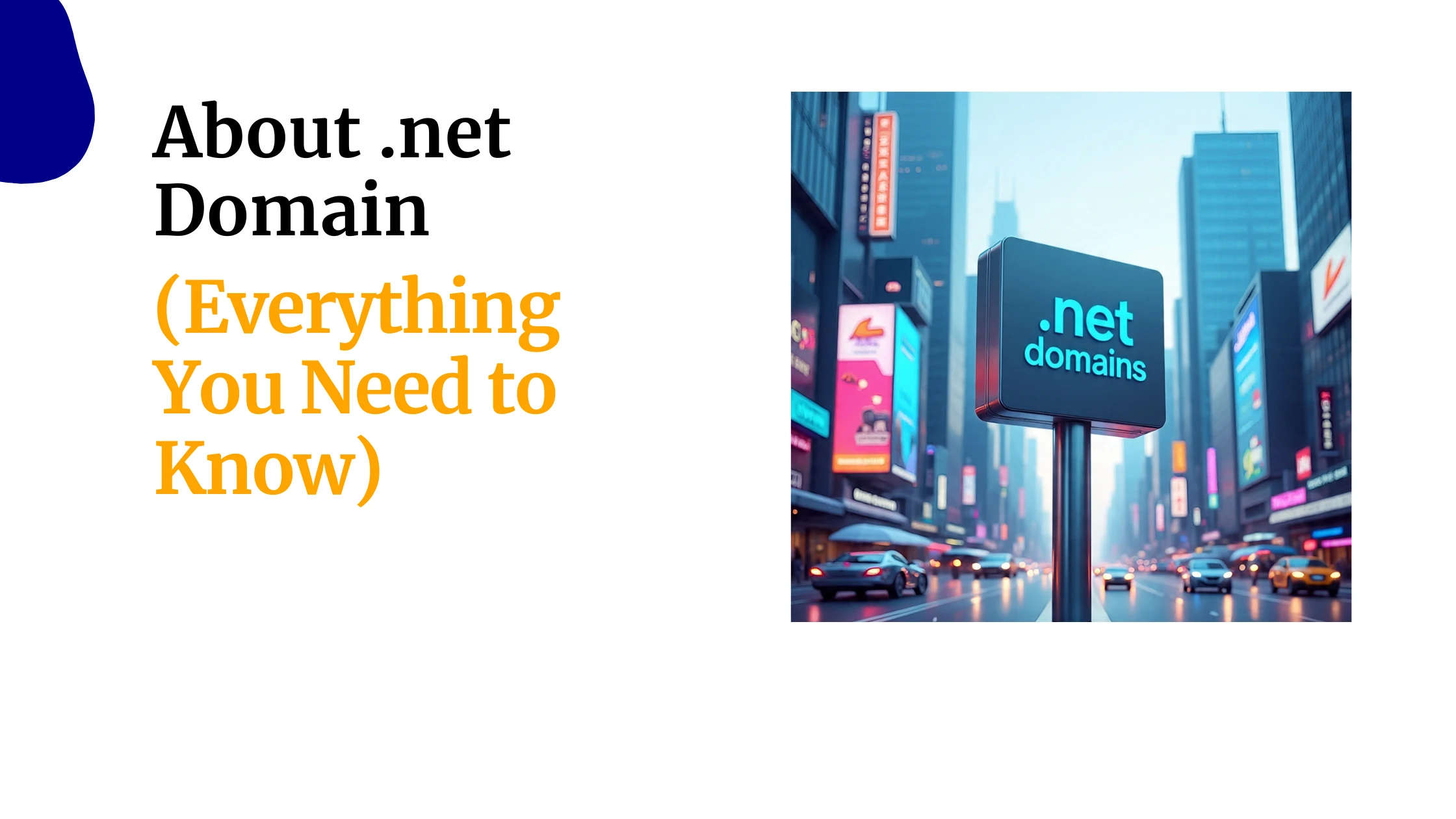 About .net Domain (Everything You Need to Know)