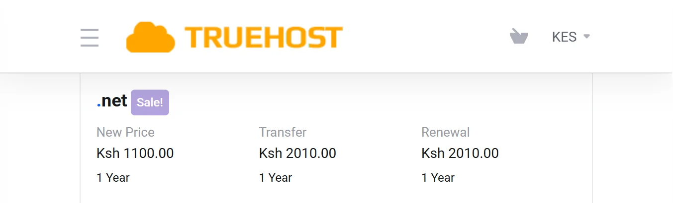 net domain - truehost