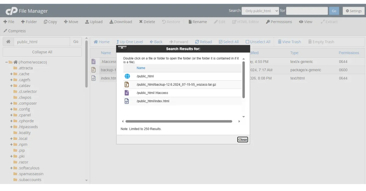 public_html folder cPanel