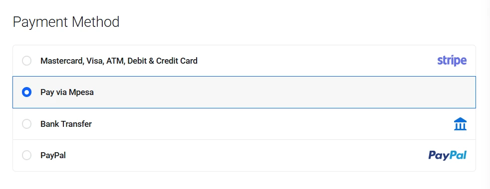 .store domain payment options