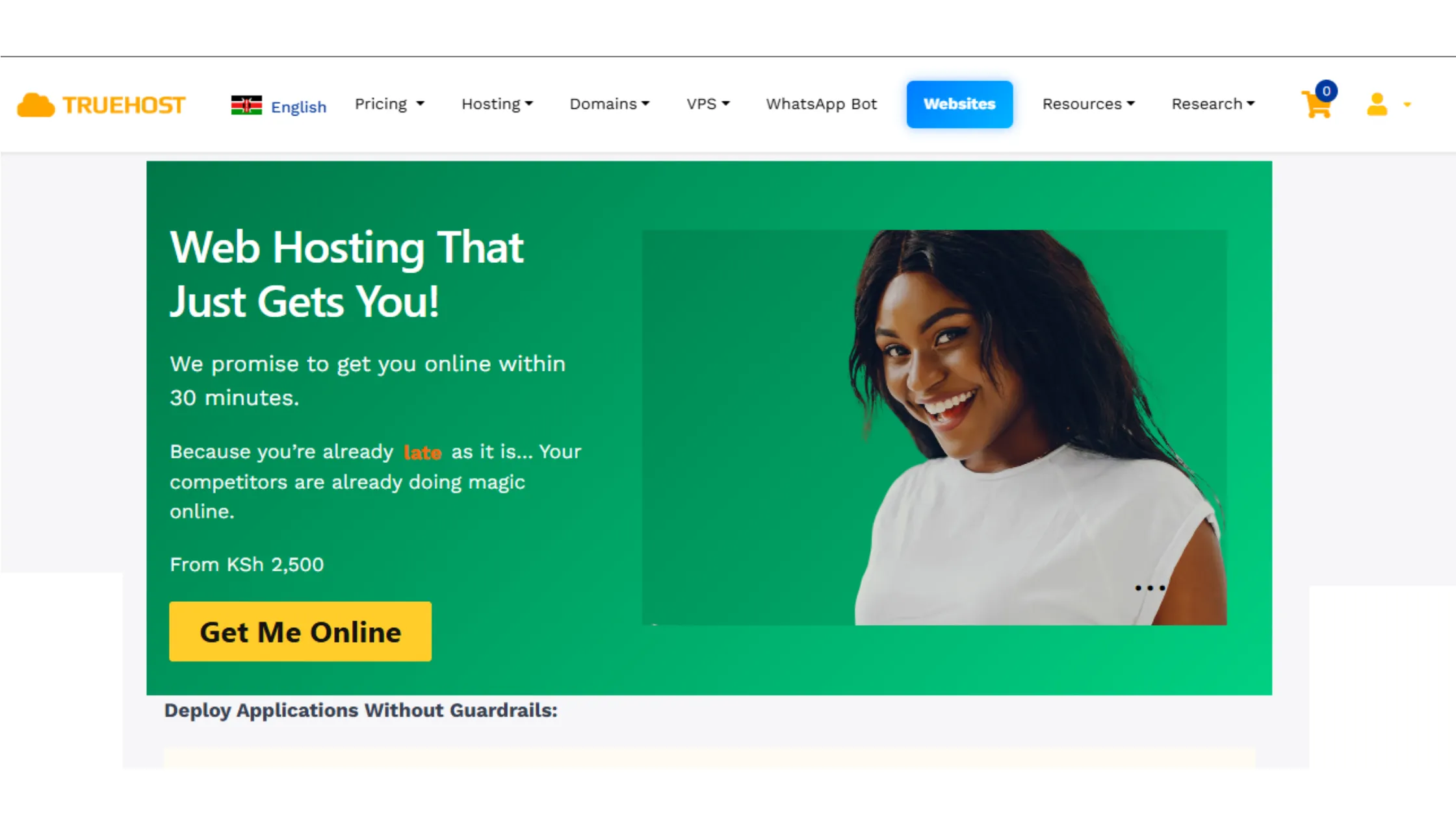 Truehost Web Hosting Deals