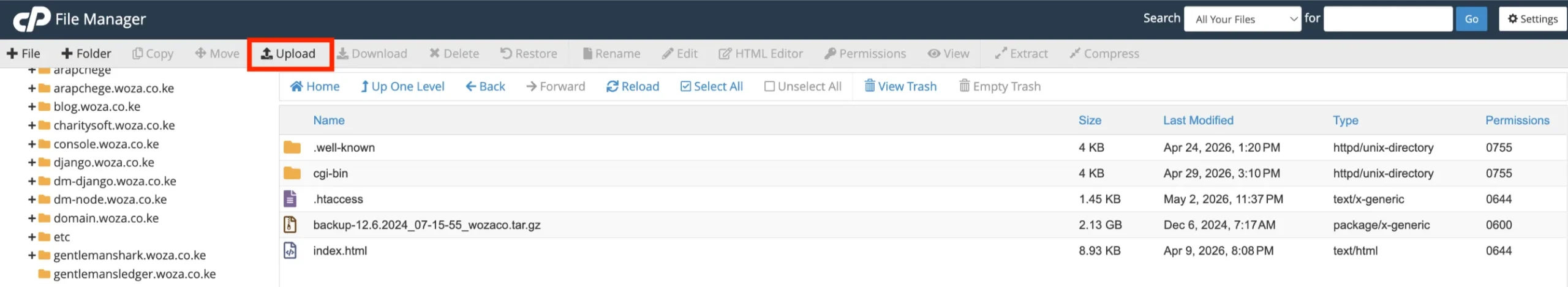 File Manager - Upload (host html website in cPanel)


