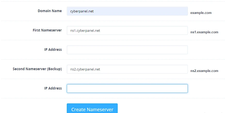 Use DNS in CyberPanel VPS IP