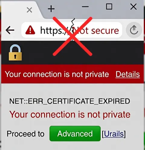 a screenshot browser showing an insecure site