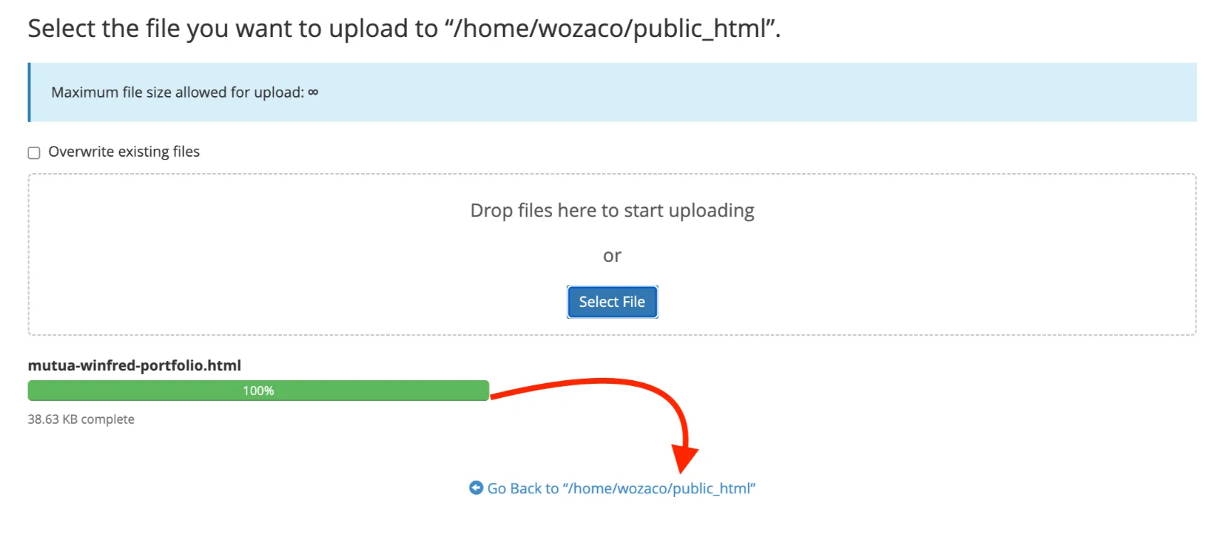 upload a website to cpanel