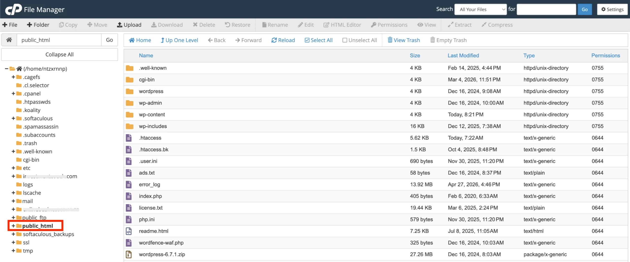 cPanel- File Manager - public_html