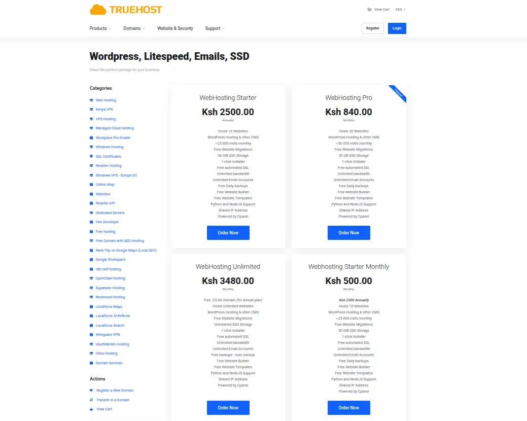 Web Hosting for Beginners in 2026: Truehost pricing