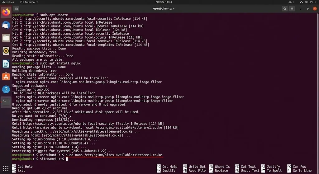 sudo nano /etc/nginx/sites-available/sitename1.co.ke
sudo apt install nginx