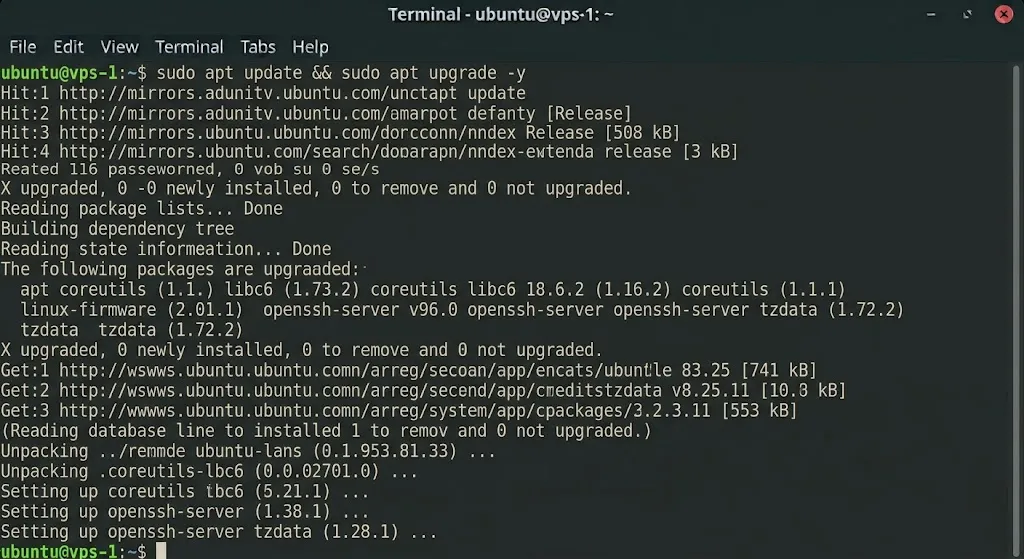 sudo apt update && sudo apt upgrade -y