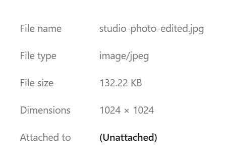 Saved media details showing studio-photo-edited.jpg and dimensions of 1024 by 1024 pixels